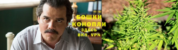 крисы Липки