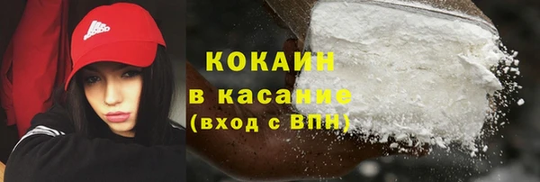 крисы Липки