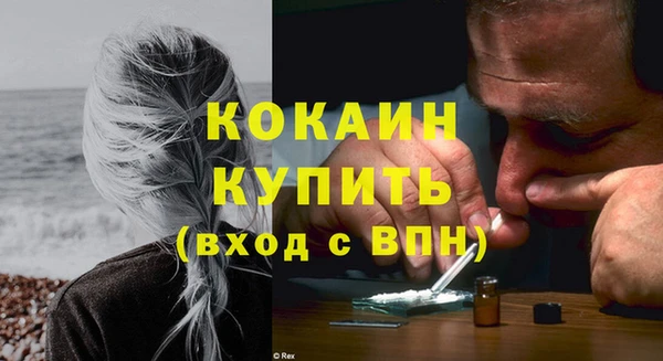 крисы Липки